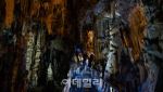 2.5억년 신비 품은 ''지하 금강산'' 지나…솔향 가득 바다정원을 거닐다