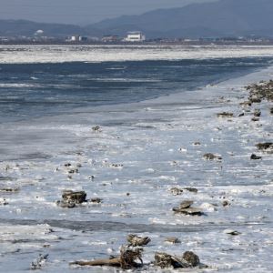 "월요일 출근 비상" 영하 15도 맹추위에 강풍까지…언제 풀리나[내일날씨]