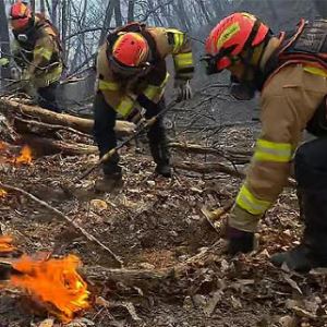 강풍 타고 번진 경주 산불…20시간 만에 주불 진화