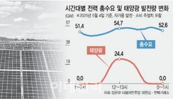 늘어나는 태양광 시설, 전력 공급 과잉 땐 대정전 날수도…통제책 시급