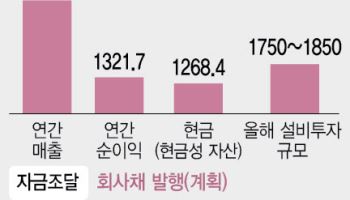 '100년 만기 채권' 꺼낸 알파벳…AI '장기투자전’ 신호탄
