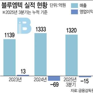 "올해 비만약 이어 에스테틱 유통 확대로 매출 첫 2000억·흑자 전환 예고"[블루엠텍 대해부...