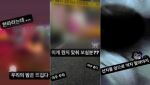 "우리의 밤은 뜨겁다" 피 흘리며 숨진 여성 사진 올린 경찰, 결국