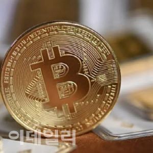 비트코인, 고점 대비 반토막 났는데…"아직 바닥 아냐"