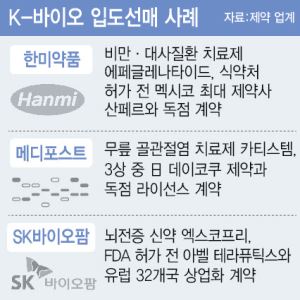 '허가'보다 빠른 데이터의 확신… K바이오, '입도선매'로 가치 입증
