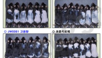 “빠진 머리 다시 자라게 한다?”…JW중외제약, ‘모낭 재생’ 탈모 신약 판 흔든다