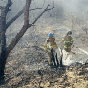 강릉 주문진서 산불…30여분 만에 주불 진화