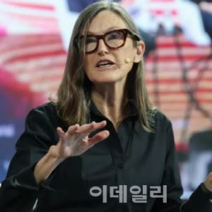 '돈나무 언니' 캐시 우드 "AI 시대 비트코인, 안전자산 역할"