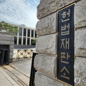 독일·스페인 재판소원 인용률 1% 밑돌아…"이상적 제도도 현실 따져야"