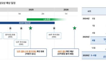 디앤디파마텍, 대사이상지방간염 신약 기술 이전 시나리오 세 가지