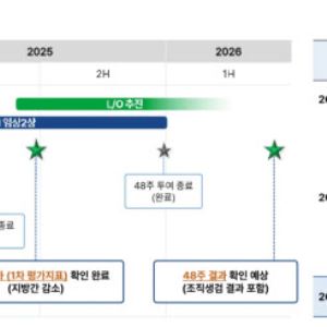 디앤디파마텍, 대사이상지방간염 신약 기술 이전 시나리오 세 가지
