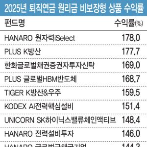 1년에 178% ‘껑충’…퇴직연금 계좌 수익률 1위 펀드는