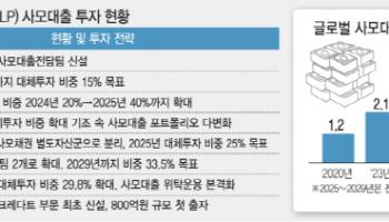사모대출에 공격 투자했는데…국내 기관들 리스크관리 '경고등'