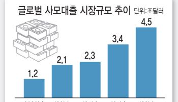 '블루아울 쇼크'에…국내 대체투자 비상