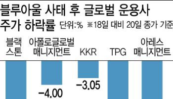 "개별펀드 관리실패" vs "구조 취약성 노출"…블루아울 사태 본질은