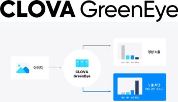 네이버, '실시간 음란물 차단' 서비스 종료…AI 보안망 새판 짠다[only이데일리]