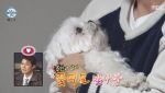 이렇게 사랑스러운데… '구성환 반려견' 꽃분이 마지막 모습 뭉클