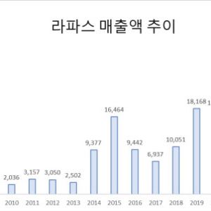 라파스, 지난해 역대 최대 매출 달성... "외형 성장 가속"