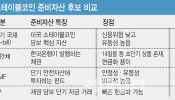 발행보다 중요한 담보…스테이블코인 준비자산에 통안채 검토[only이데일리]