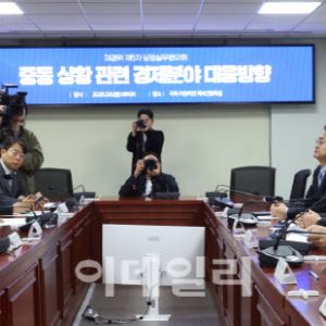 與, 중동사태 당정 실무협…"기름값 폭리 무관용 원칙" 공감대(종합)