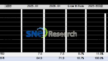 K배터리 3사 전기차 배터리 점유율 '뚝'…中은 성장세
