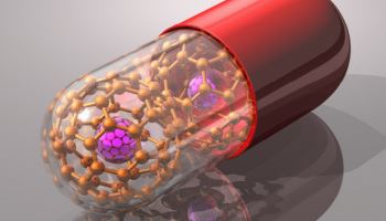 인류의 숙제 풀까...일본 '줄기세포' 세계 최초 승인·현대바이오 '뎅기열' 공략[...