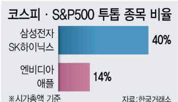 삼전·닉스 흔들리면…증시·자산·환율 '휘청'