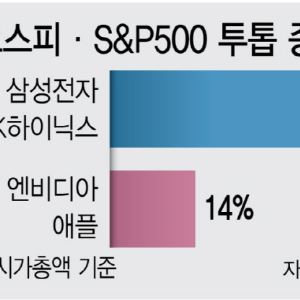 삼전·닉스 흔들리면…증시·자산·환율 '휘청'
