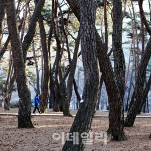 1100만 영화 ‘왕사남’ 열풍에 영월 관광객 11만명 ‘폭발’