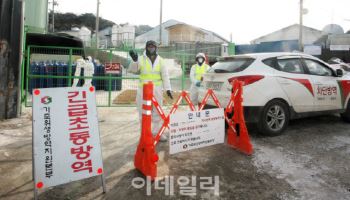 유독 잦은 가축전염병에 방역당국·축산농가 '비상'…소비자는 '울상'