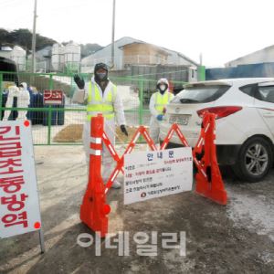 유독 잦은 가축전염병에 방역당국·축산농가 '비상'…소비자는 '울상'