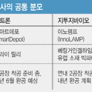 K-약물전달시스템 삼총사, 생산시설 투자 경쟁…자금조달 전략 '대조'