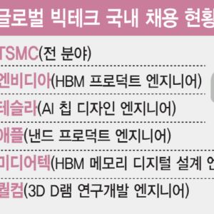 삼전·닉스 'S급 인재' 타깃, 돈다발 푸는 빅테크