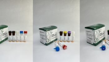 HLB파나진, 연내 ‘IVDR’ 전 품목 인증 완료... 유럽 시장서 중국 따돌린다