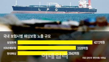 호르무즈 봉쇄에 해상보험 노출 1.7조…보험료 최대 10배 급등