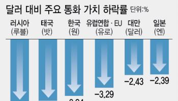 원화가치 3.8% 뚝...대만달러보다 더 떨어져