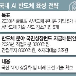 정부, ‘K엔비디아’ 승부수…올해에만 AI 반도체에 4조 베팅