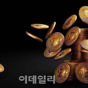 “비트코인 바닥 아냐…5만달러 급락 열려 있다”