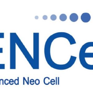 이엔셀 'EN001' 임상 1b상서 내약성 확보…임상 2a상 진입 채비