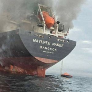 "즉시 파병 결정" "보복 테러 당할 수도"..."트럼프에 못 견뎌"