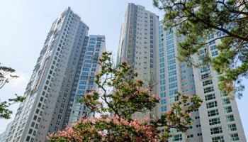 강남은 강남…집값 꺾였다더니 신고가 행진