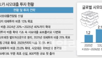 [데스크의눈]'탄광 속 카나리아'가 된 사모대출