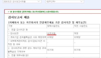 엔지켐, 대여금 문제로 감사 '의견 거절'…"전액 회수, 내부통제 강화할 것"