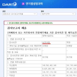 엔지켐, 대여금 문제로 감사 '의견 거절'…"전액 회수, 내부통제 강화할 것"