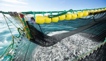 반값 고등어 사세요…명태·갈치·오징어도 할인[씨뷰어]