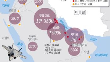물류동맹 '홍해'마저 막히나…후티 반군 참전속 美지상군 준비 본격화