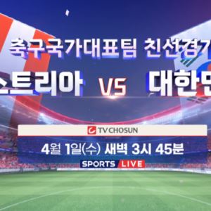 TV조선, 한국vs오스트리아 생중계…구자철 "홍명보 명확하게 보여줘야"