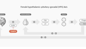 “자궁내막증 통증 제로 입증”…티움바이오, 메리골릭스 기술이전 속도
