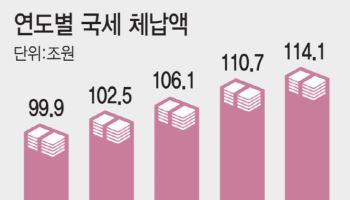 솜방망이 징수 권한…비웃는 고액 체납자