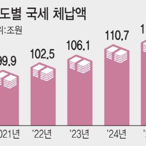 솜방망이 징수 권한…비웃는 고액 체납자